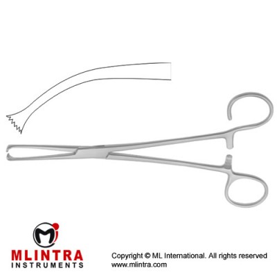 Colver Tonsil Grasping Forcep Curved Stainless Steel, 19 cm - 7 1/2"